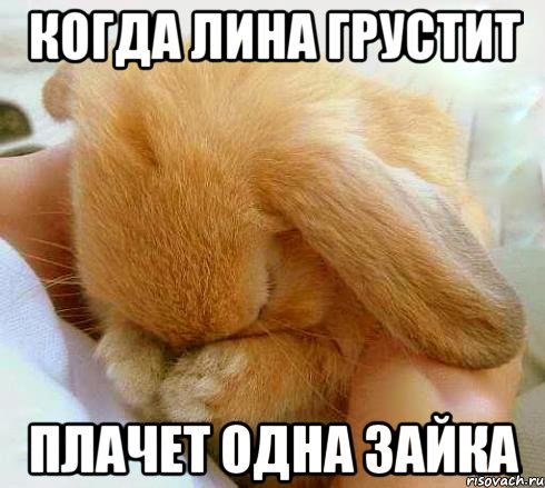 Когда Лина грустит плачет одна зайка