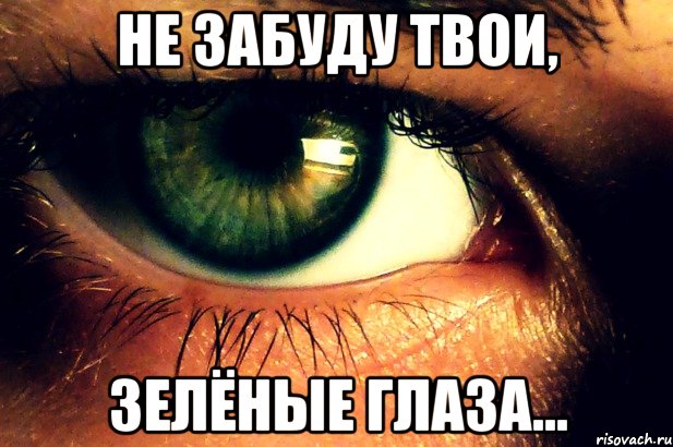 Скачать песни улица твои зеленые глаза