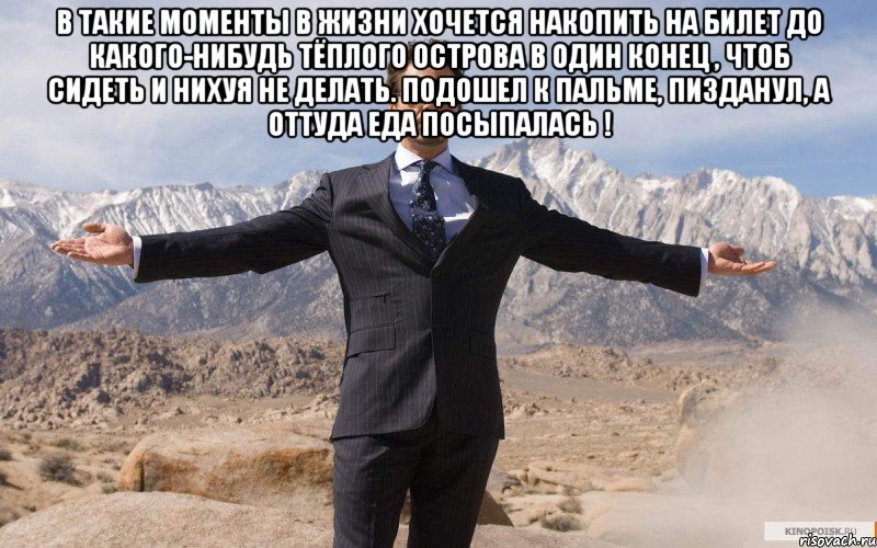 в такие моменты в жизни хочется накопить на билет до какого-нибудь тёплого острова в один конец , чтоб сидеть и нихуя не делать. Подошел к пальме, пизданул, а оттуда еда посыпалась ! , Мем железный человек