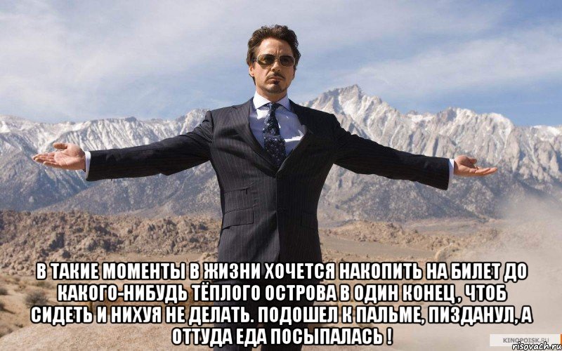  в такие моменты в жизни хочется накопить на билет до какого-нибудь тёплого острова в один конец , чтоб сидеть и нихуя не делать. Подошел к пальме, пизданул, а оттуда еда посыпалась !, Мем железный человек