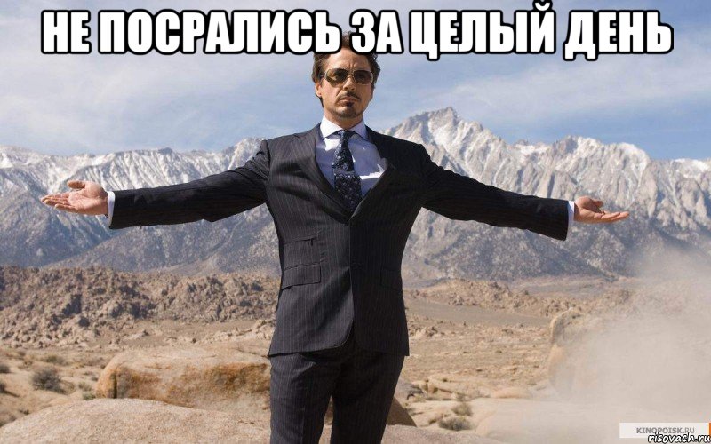 Не посрались за целый день , Мем железный человек