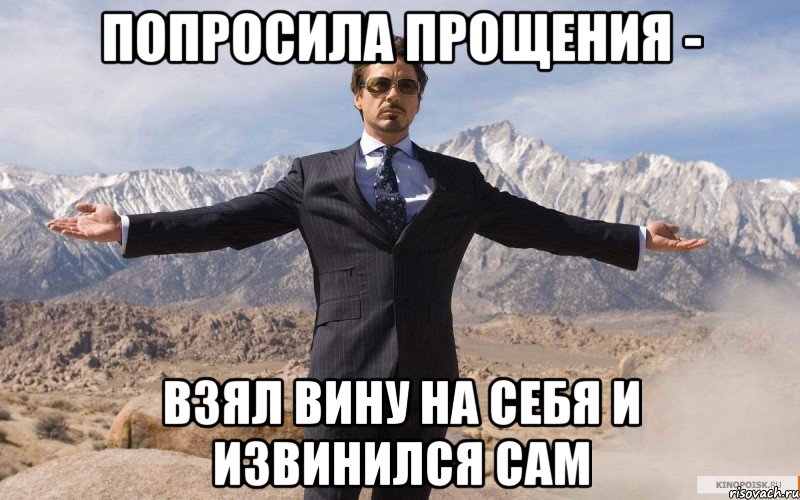 Попросила прощения - Взял вину на себя и извинился сам, Мем железный человек