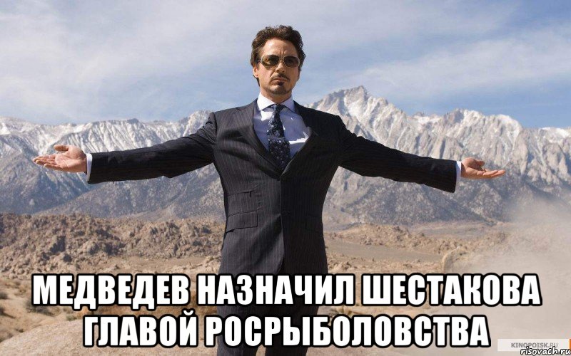  Медведев назначил Шестакова главой Росрыболовства, Мем железный человек