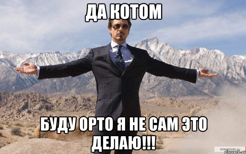 да котом буду орто я не сам это делаю!!!, Мем железный человек