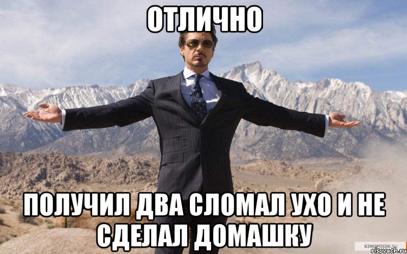 отлично получил два сломал ухо и не сделал домашку, Мем железный человек