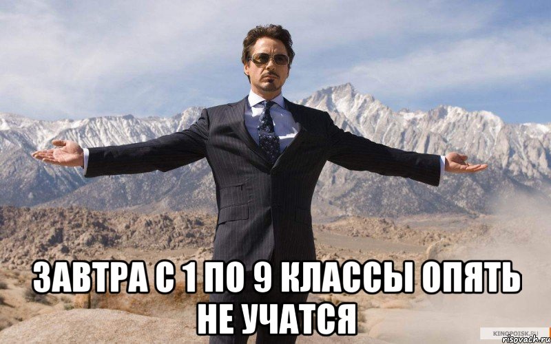  завтра с 1 по 9 классы опять не учатся, Мем железный человек