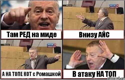 Там РЕД на миде Внизу АЙС А НА ТОПЕ КОТ c Ромашкой В атаку НА ТОП, Комикс жиреновский