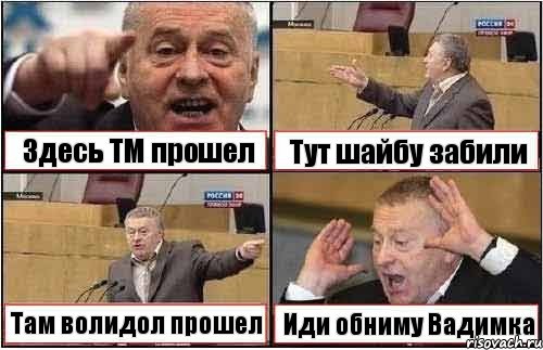 Здесь ТМ прошел Тут шайбу забили Там волидол прошел Иди обниму Вадимка, Комикс жиреновский