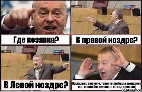 Где козявка? В правой ноздре? В Левой ноздре? Насколько я помню, территория была выделена под постройку здания, а не под козявки!, Комикс жиреновский