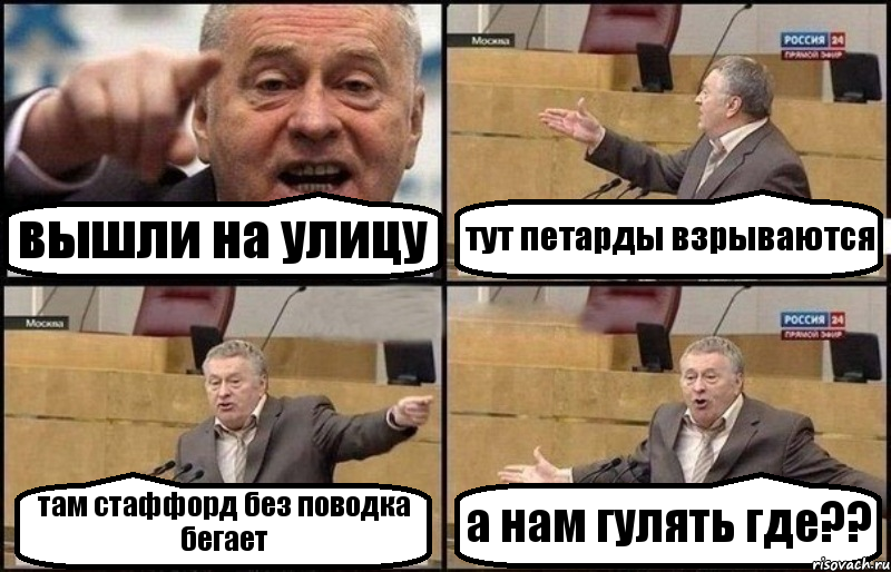 вышли на улицу тут петарды взрываются там стаффорд без поводка бегает а нам гулять где??, Комикс Жириновский