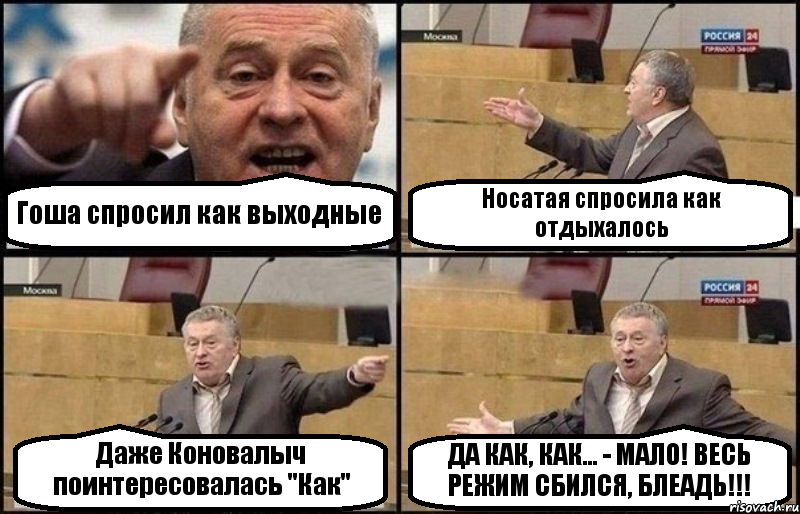 Гоша спросил как выходные Носатая спросила как отдыхалось Даже Коновалыч поинтересовалась "Как" ДА КАК, КАК... - МАЛО! ВЕСЬ РЕЖИМ СБИЛСЯ, БЛЕАДЬ!!!, Комикс Жириновский