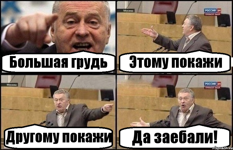Большая грудь Этому покажи Другому покажи Да заебали!, Комикс Жириновский