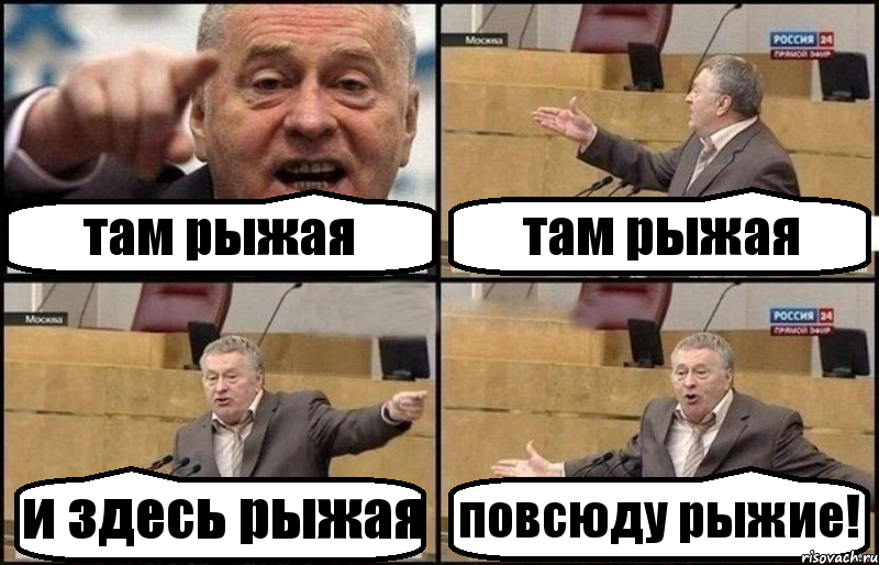 там рыжая там рыжая и здесь рыжая повсюду рыжие!