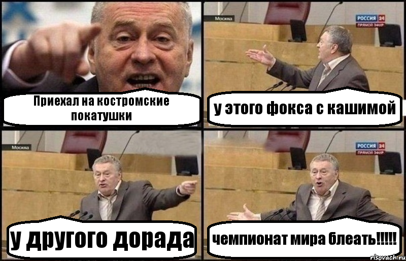 Приехал на костромские покатушки у этого фокса с кашимой у другого дорада чемпионат мира блеать!!!!!