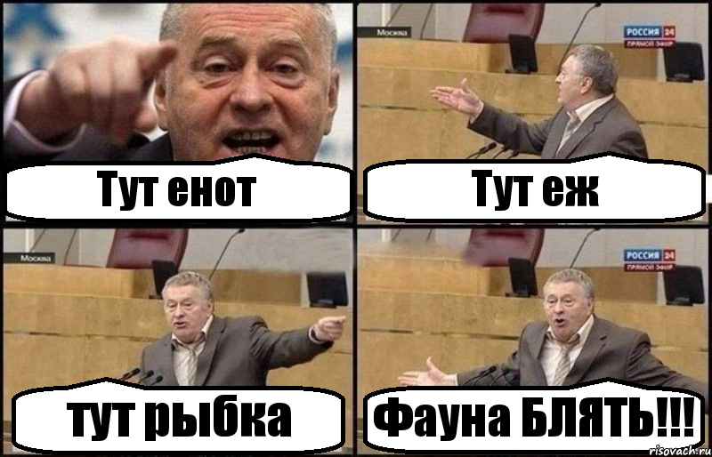 Тут енот Тут еж тут рыбка Фауна БЛЯТЬ!!!