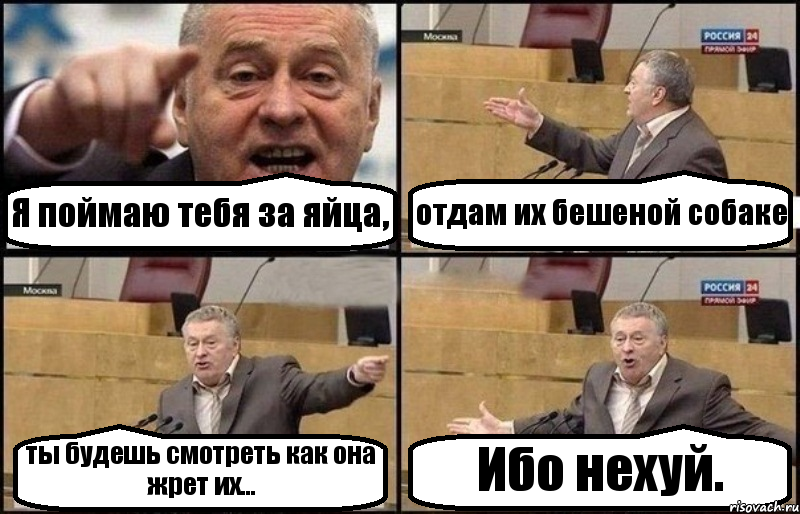 Я поймаю тебя за яйца, отдам их бешеной собаке ты будешь смотреть как она жрет их... Ибо нехуй.