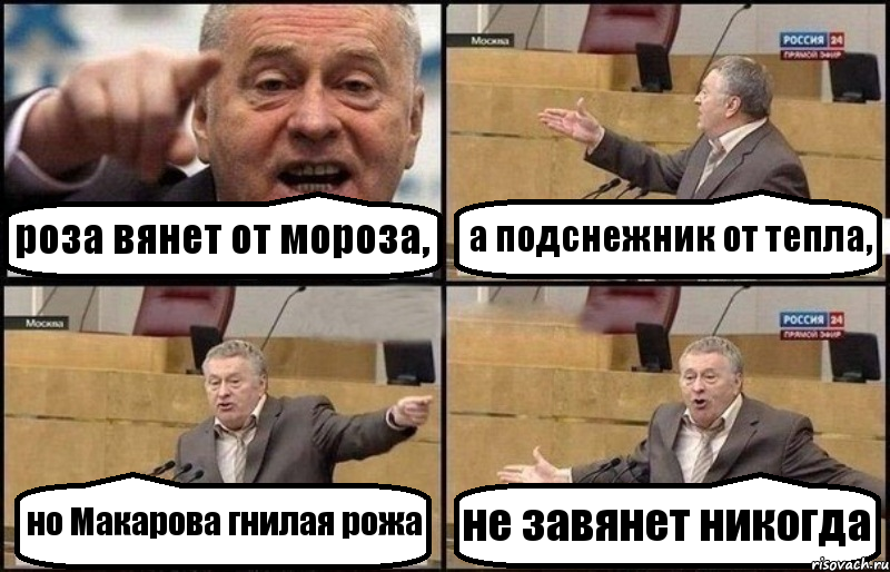 роза вянет от мороза, а подснежник от тепла, но Макарова гнилая рожа не завянет никогда