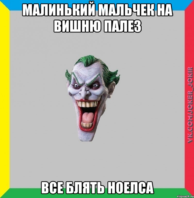 Малинький мальчек на вишню палез все блять ноелса