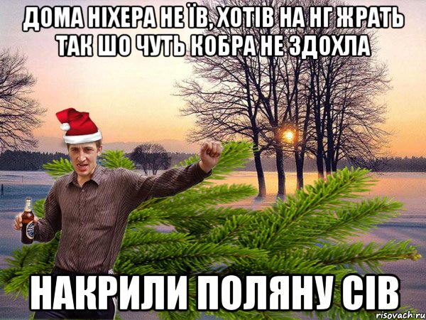 Дома ніхера не їв, хотів на нг жрать так шо чуть кобра не здохла накрили поляну сів