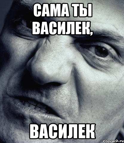 САМА ТЫ ВАСИЛЕК, ВАСИЛЕК