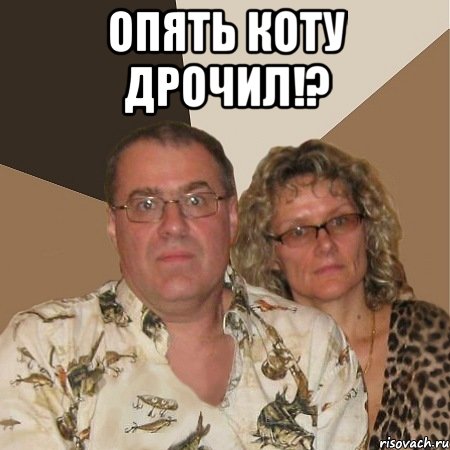 Опять коту дрочил!? , Мем  Злые родители