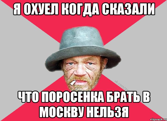 я охуел когда сказали что поросенка брать в москву нельзя