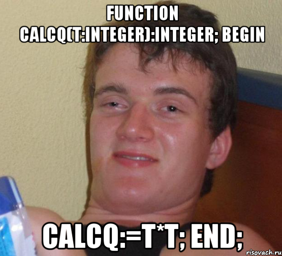 function calcQ(t:integer):integer; begin calcQ:=t*t; end;, Мем 10 guy (Stoner Stanley really high guy укуренный парень)