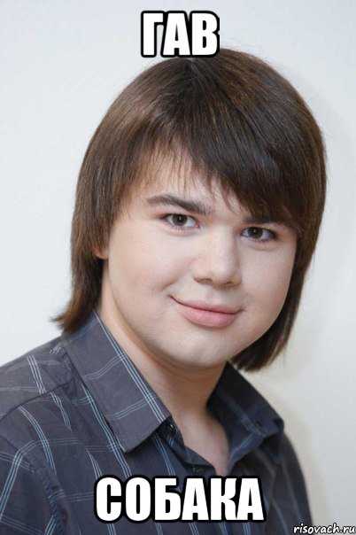 гав собака