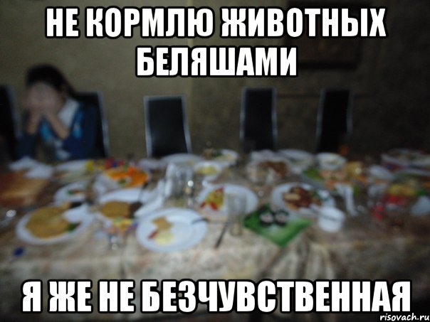 не кормлю животных беляшами я же не безчувственная