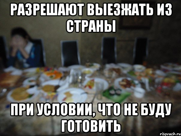 разрешают выезжать из страны при условии, что не буду готовить