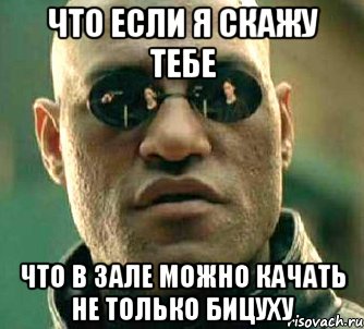 что если я скажу тебе что в зале можно качать не только бицуху, Мем  а что если я скажу тебе