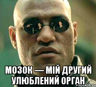  Мозок — мій другий улюблений орган, Мем  а что если я скажу тебе