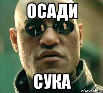 осади сука, Мем  а что если я скажу тебе