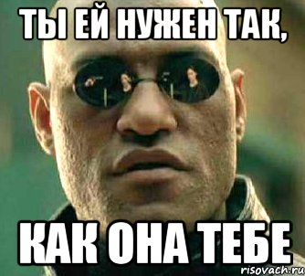 Ты ей нужен так, как она тебе, Мем  а что если я скажу тебе