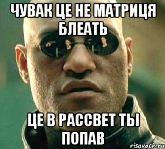 Чувак це не матриця блеать це в РАССВЕТ ты попав, Мем  а что если я скажу тебе