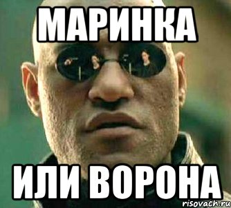 маринка или ворона, Мем  а что если я скажу тебе