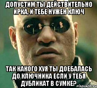 Допустим ты действительно ирка, и тебе нужен ключ Так какого хуя ты доебалась до ключника если у тебя дубликат в сумке?, Мем  а что если я скажу тебе