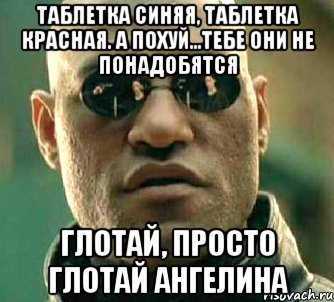 Таблетка синяя, таблетка красная. А похуй...тебе они не понадобятся глотай, просто глотай Ангелина, Мем  а что если я скажу тебе