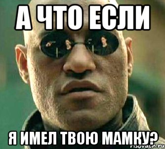 а что если я имел твою мамку?, Мем  а что если я скажу тебе