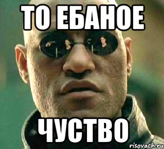 То ебаное чуство, Мем  а что если я скажу тебе