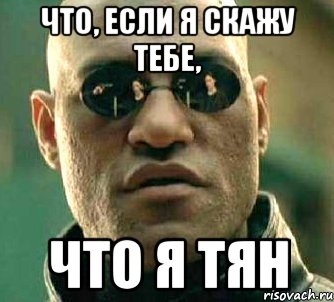 что, если я скажу тебе, что я тян, Мем  а что если я скажу тебе