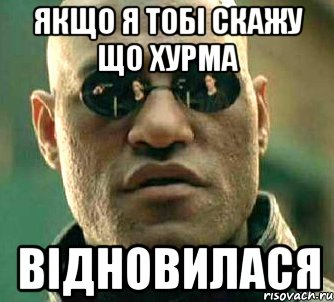 якщо я тобі скажу що хурма відновилася, Мем  а что если я скажу тебе