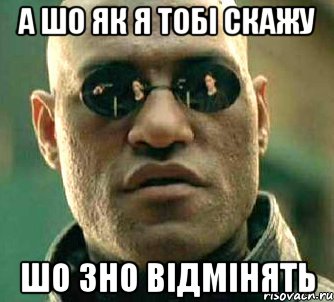 А шо як я тобі скажу шо ЗНО відмінять, Мем  а что если я скажу тебе