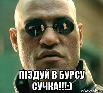  ПІЗДУЙ В БУРСУ СУЧКА!!!:), Мем  а что если я скажу тебе