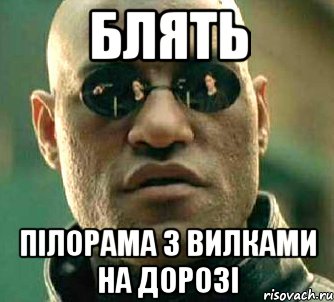 блять пілорама з вилками на дорозі, Мем  а что если я скажу тебе