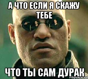 а что если я скажу тебе что ты сам дурак, Мем  а что если я скажу тебе