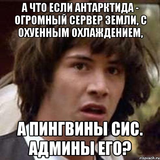 А что если Антарктида - огромный сервер земли, с охуенным охлаждением, А пингвины сис. админы его?, Мем А что если (Киану Ривз)