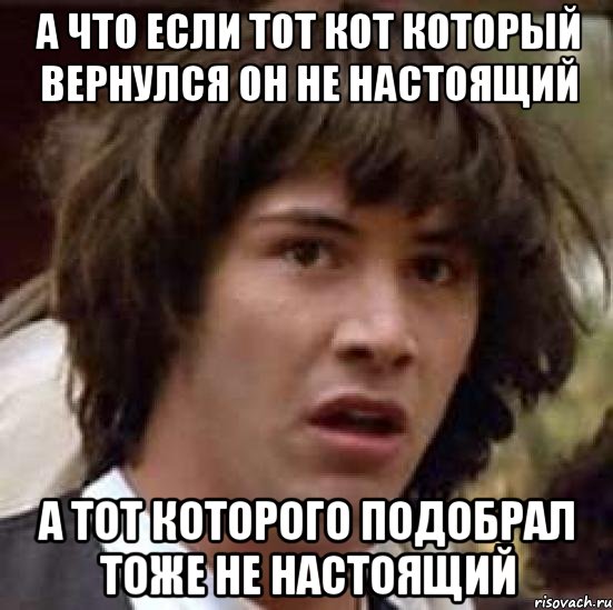 А ЧТО ЕСЛИ ТОТ КОТ КОТОРЫЙ ВЕРНУЛСЯ ОН НЕ НАСТОЯЩИЙ А ТОТ КОТОРОГО ПОДОБРАЛ ТОЖЕ НЕ НАСТОЯЩИЙ, Мем А что если (Киану Ривз)