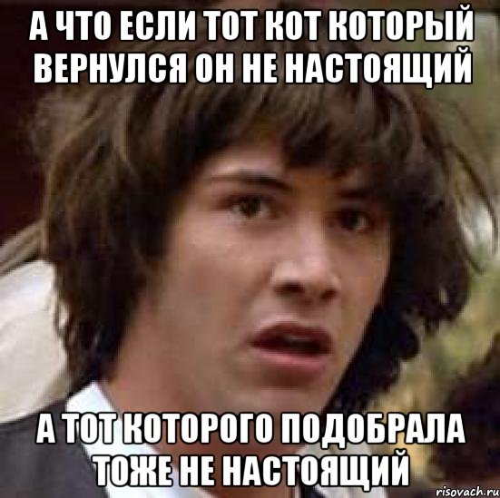 А ЧТО ЕСЛИ ТОТ КОТ КОТОРЫЙ ВЕРНУЛСЯ ОН НЕ НАСТОЯЩИЙ А ТОТ КОТОРОГО ПОДОБРАЛА ТОЖЕ НЕ НАСТОЯЩИЙ, Мем А что если (Киану Ривз)