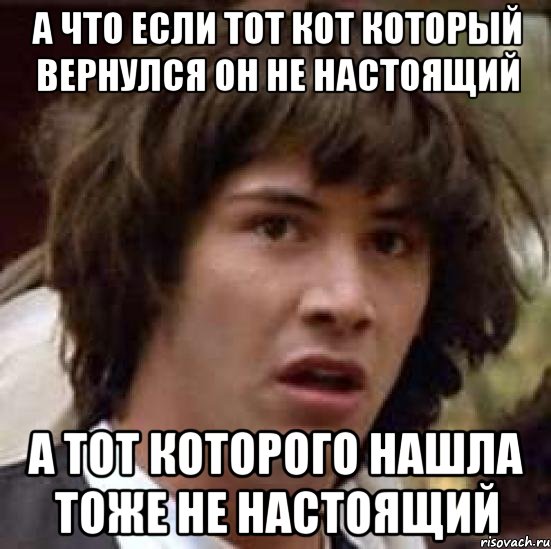 А ЧТО ЕСЛИ ТОТ КОТ КОТОРЫЙ ВЕРНУЛСЯ ОН НЕ НАСТОЯЩИЙ А ТОТ КОТОРОГО НАШЛА ТОЖЕ НЕ НАСТОЯЩИЙ, Мем А что если (Киану Ривз)
